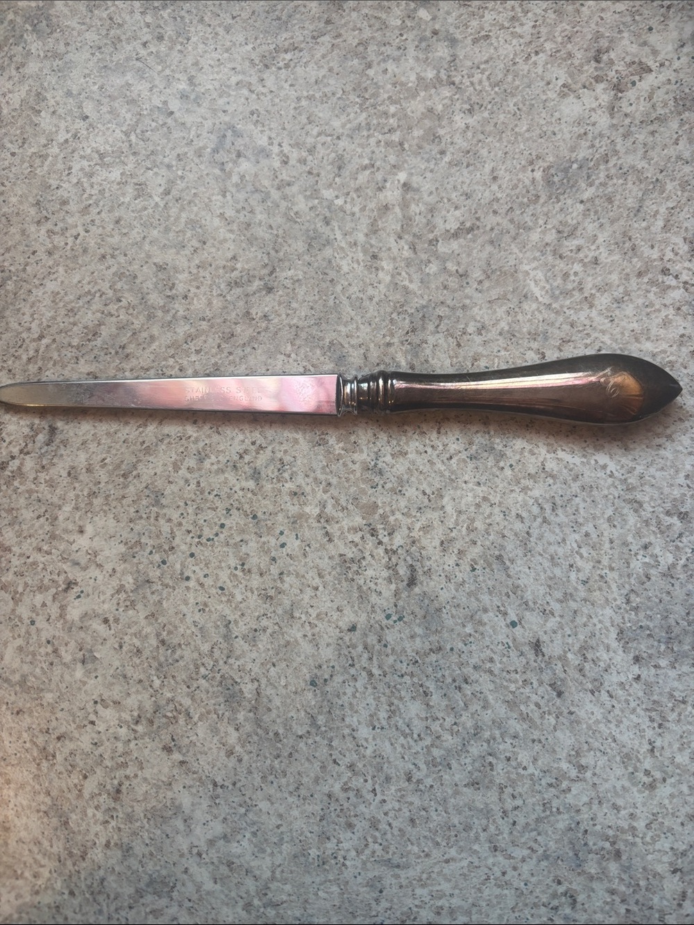 Stainless Steel Dinner Knife - Silver